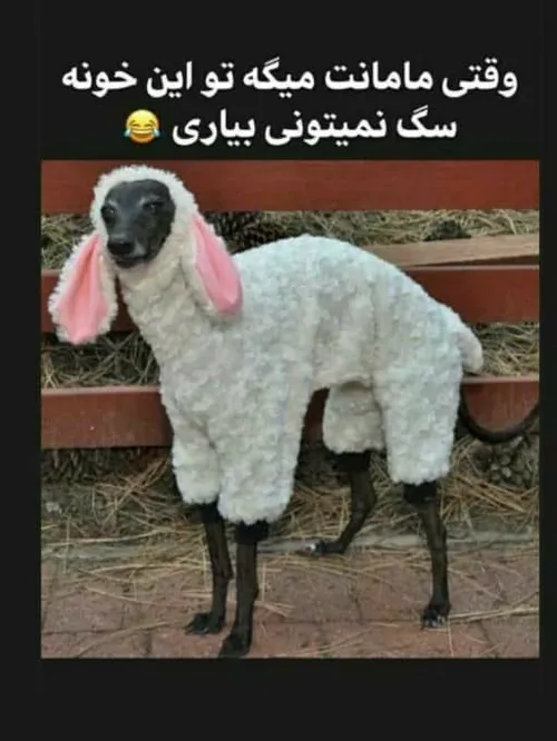 ای خدا 😂😂😂👍🏾