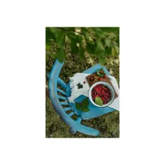 خرم آن نغمه که مردم بسپارند به یاد. . . 