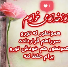 z.shabeike 45580876