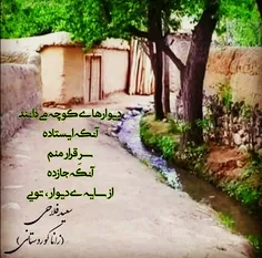 #سعید_فلاحی #سعید #فلاحی #زانا_کوردستانی #زانا #کوردستان 