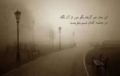 آواز عاشقانه ی ما در گلو شکست 