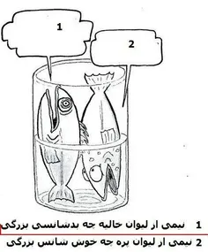 سلام و احترام🌼