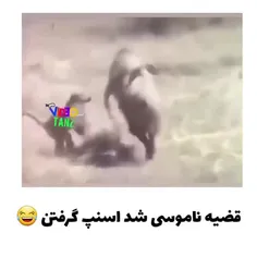 متر