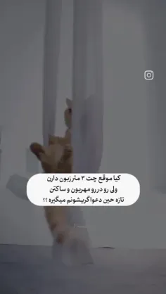 هستید؟