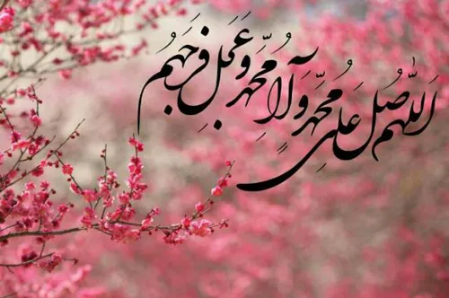 خواند زبان دلم ثنای محمد (ص)