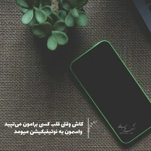 کاش وقتی قلب کسی می تپید