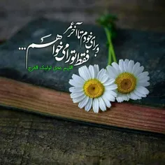 السلام علیک یابن رسول الله ص 