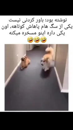 هم نشینی با ادما 🥲😂😂