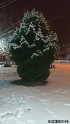 برف بارید به این شهر، کجایی بی من