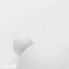 کامنت بزارید جواب میدم
