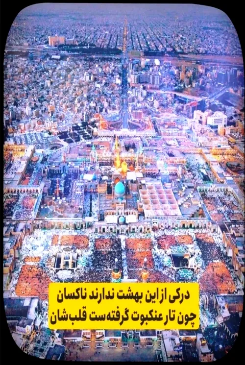 امام رضا