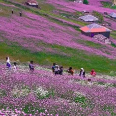 جاده اسالم به خلخال ( برج ۳ برید اینجوری میشه)