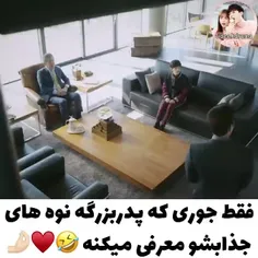 پرنسس و چهار شوالیه