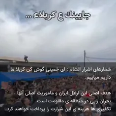 zaharfaraji 72144311