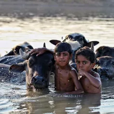 هور العظیم و ابشو گاومیش