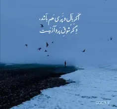 اگر بال و پری هم باشد دگر شوق پرواز نیست