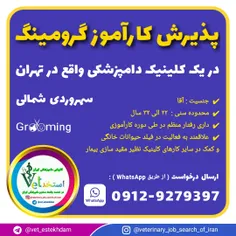 پذیرش کارآموز گرومینگ ( آقا ) در تهران