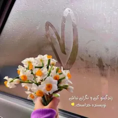 🌼هیچ درختی