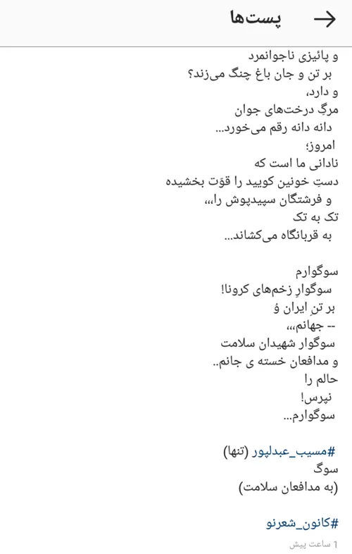 سعید فلاحی