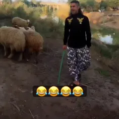 فکر کنم تو زندگی قبلیش خواننده آمریکایی بوده 🤣