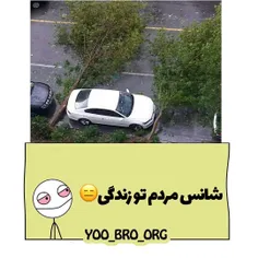 خرشانس😑