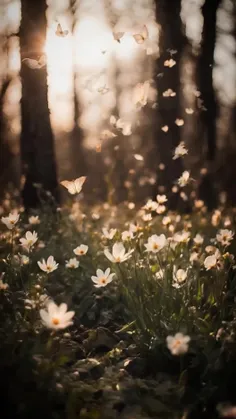 همیشه خیر قنوت تو میرسد به همه