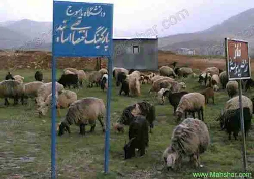 طنز