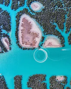 عکس هوایی بی نظیر از جنگل های دریایی حرا در جزیره قشم