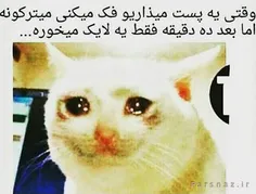 این پستو بترکونید لصفااا