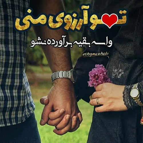 آرزویم بود و