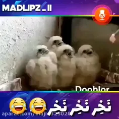 خنده دار دوبله😂