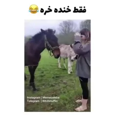 خنده خرکی ندیده بودیم که دیدیم😂😂