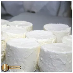#♦ ️گران ترین پنیر جهان!