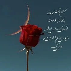 🌹🌹