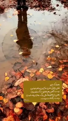 یادمه وقتی دبستان می رفتم 