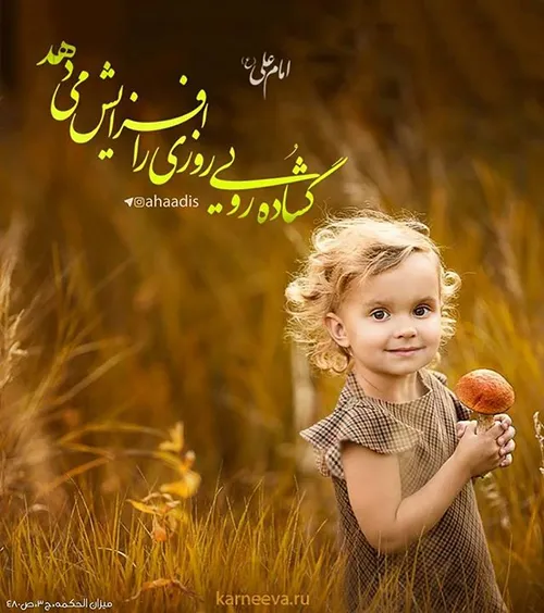 حکمت های علوی