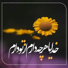 گوناگون hasaan1400 28393137