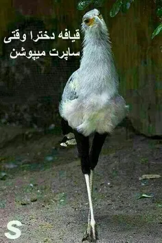 زنا وقتی اسپرت میپوشن🤣