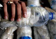قاچاق بی رحمانه و غیر انسانی نوعی طوطی در برزیل