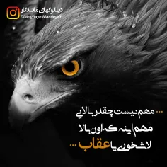 عکس نوشته aydin.yp 24249601