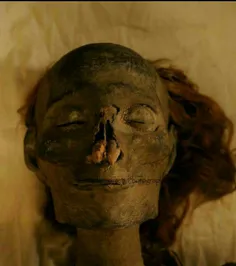 جمجمه ی یافت شده از حتشپسوت؛ قدرت مند ترین فرعون زن مصر ب