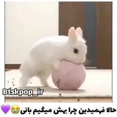 دنبالم كن پشيمون نميشى