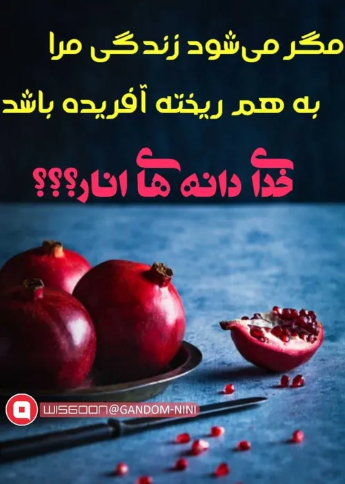 مگر می شود؟؟؟؟؟؟؟