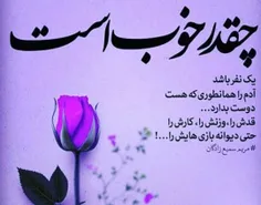 گوناگون dousti 24909349