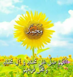 ‍ 🌻 شد باز به روی خلق باب برکات 