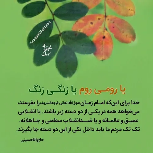 ❣ یا رومی روم یا زنگی زنگ