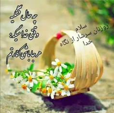 💙بسم الله الرحمن الرحیم💙