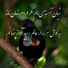 شعر و ادبیات zahraparsa 26221591