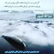 salar_255