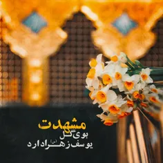 مشهدت بوی گل یوسف زهرا دارد...🌼